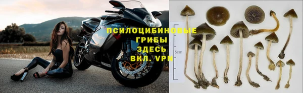 дурь Арсеньев