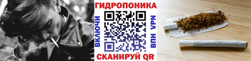 Шишки марихуана Bruce Banner как найти закладки Макарьев